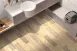 高知