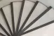 石韻