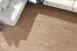 格魯特